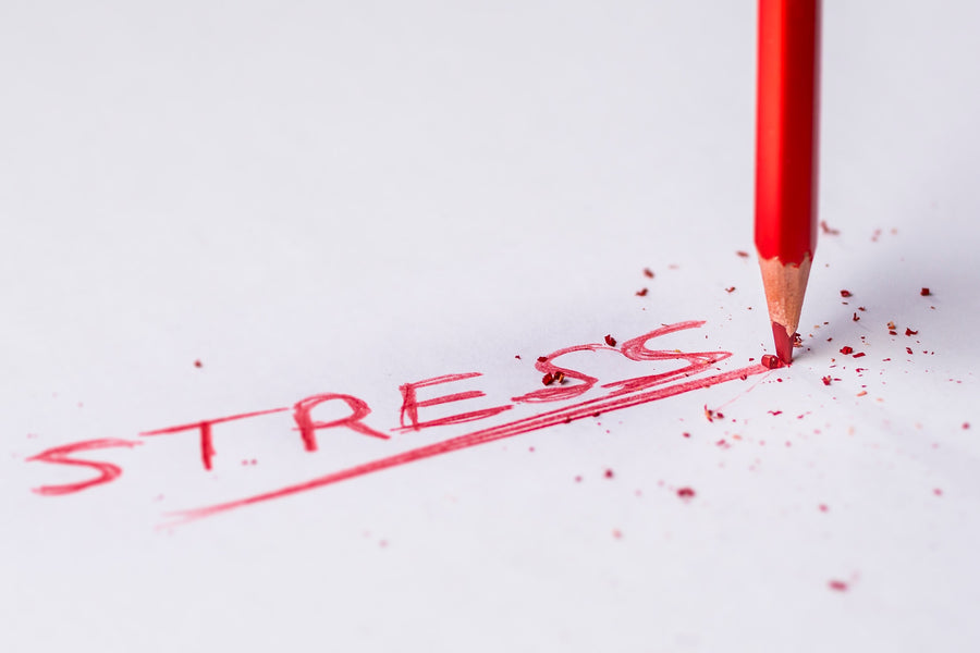 HOW STRESS IS DESTROYING YOUR BOTTOM-LINE